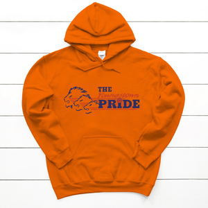 Y-Town Pride Hoodie - Jazzi D's Hometown Tees